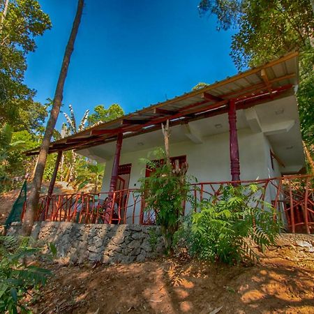إيلا Dulmini Homestay المظهر الخارجي الصورة