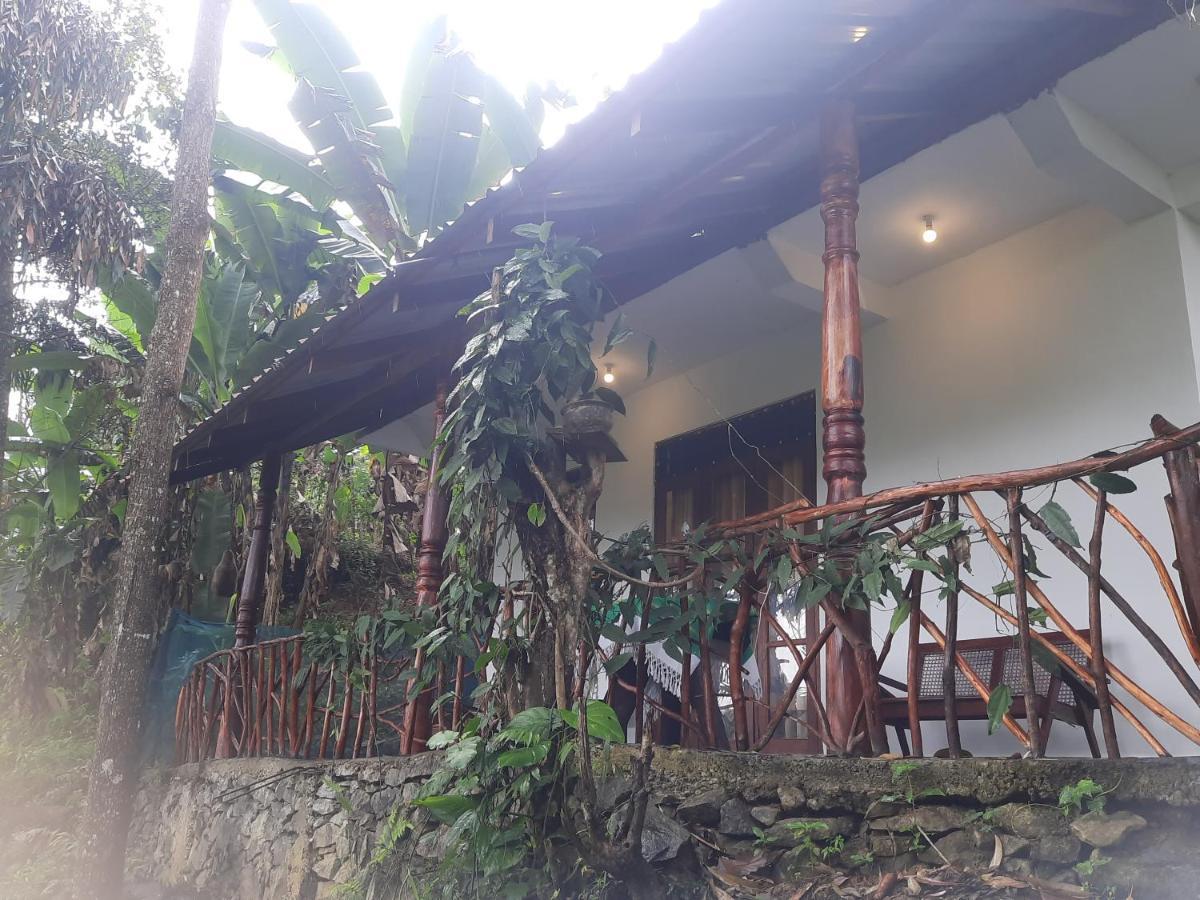 إيلا Dulmini Homestay المظهر الخارجي الصورة