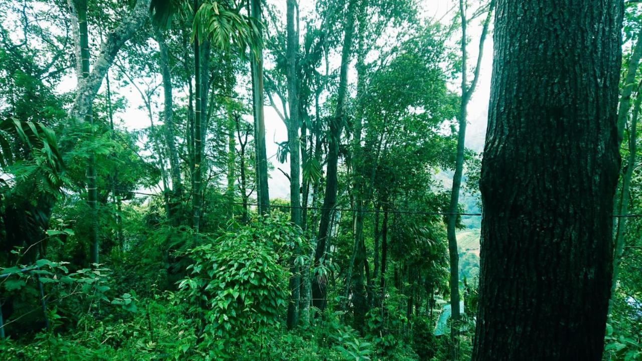 إيلا Dulmini Homestay المظهر الخارجي الصورة