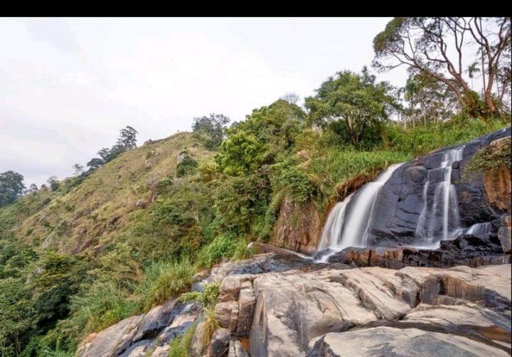 إيلا Dulmini Homestay المظهر الخارجي الصورة