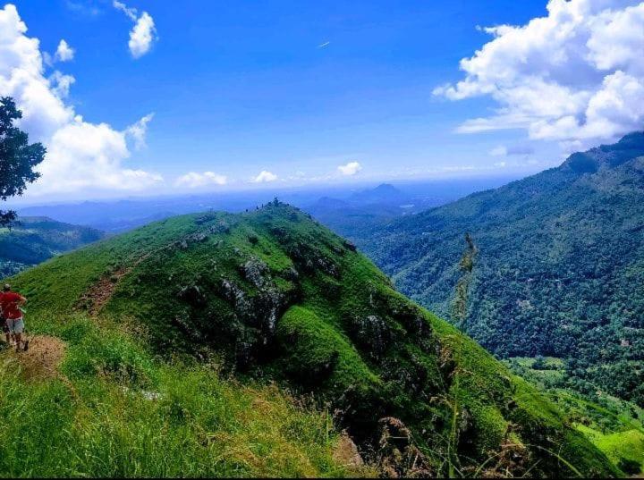 إيلا Dulmini Homestay المظهر الخارجي الصورة