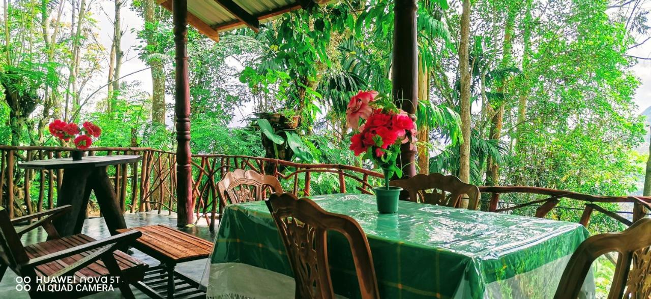 إيلا Dulmini Homestay المظهر الخارجي الصورة